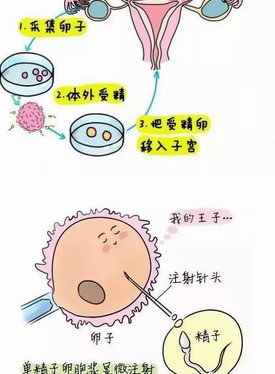 2026北京十大私立试管医院成功率排名榜，哪家可以做三代试管？