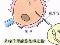 2026年上海试管婴儿费用解析，三代试管婴儿具体收费情况