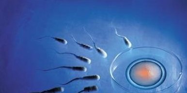 2026宁波十大助孕公司行榜公布，选对机构不踩坑！