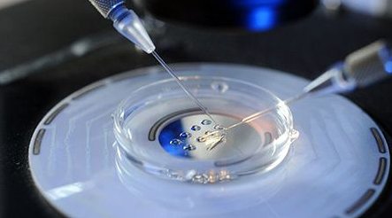 2026在广州市第一人民医院试管婴儿费用清单，价格很清楚